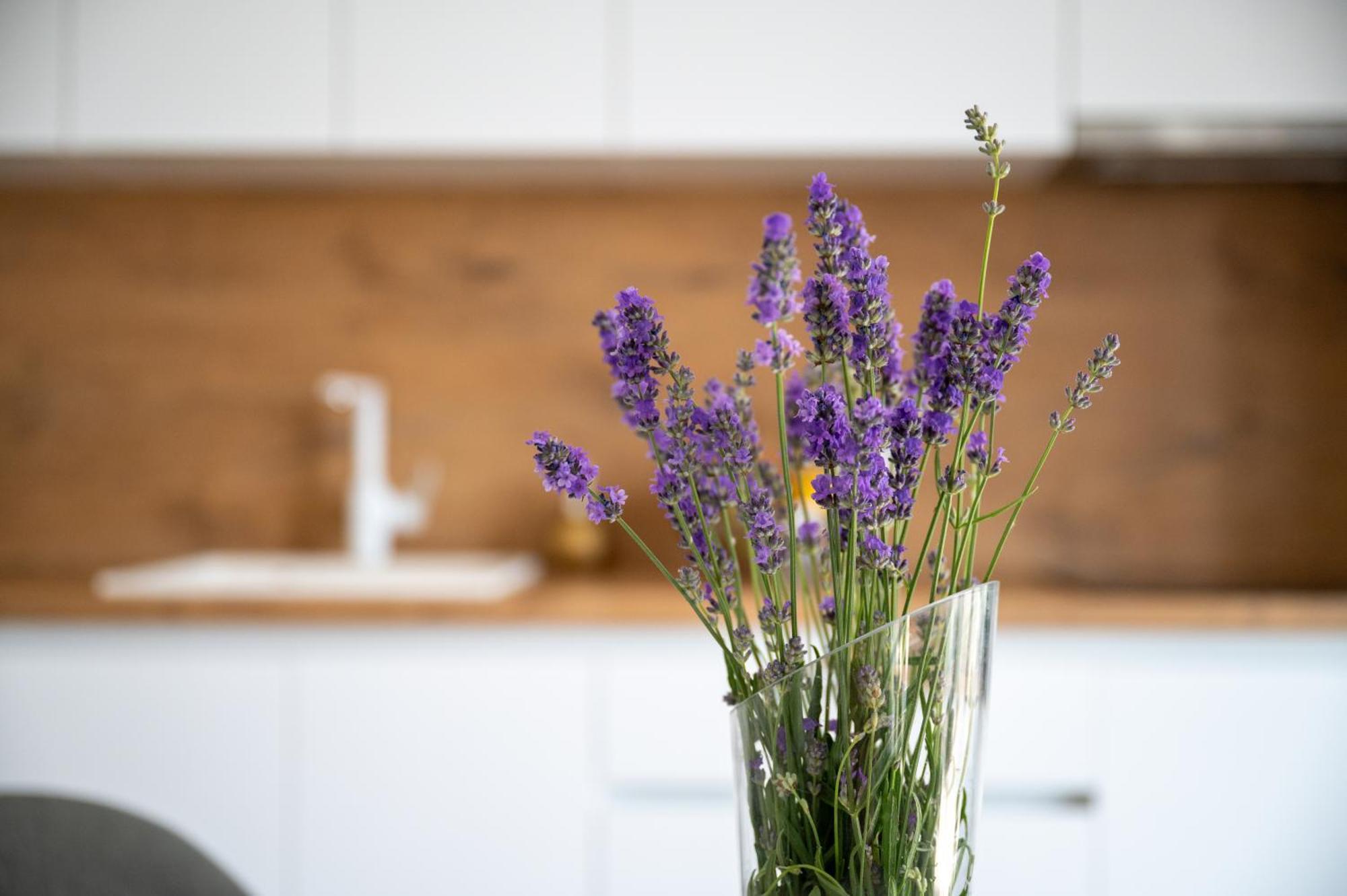 Apartman Mulin Trogir Exteriér fotografie